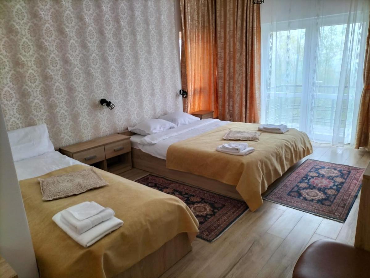 Hotel Conacul Doamnei Nucsoara Exterior foto