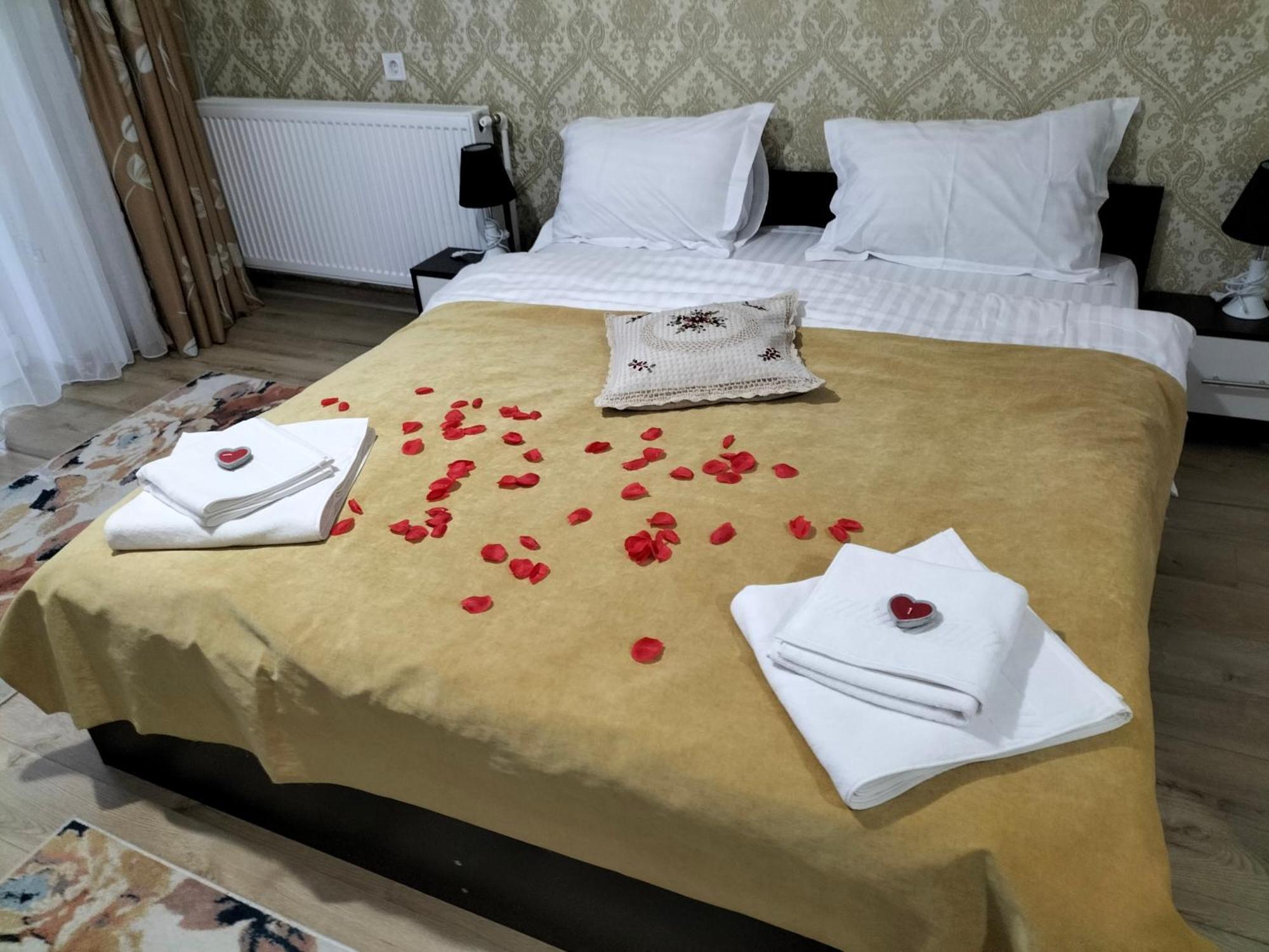 Hotel Conacul Doamnei Nucsoara Exterior foto